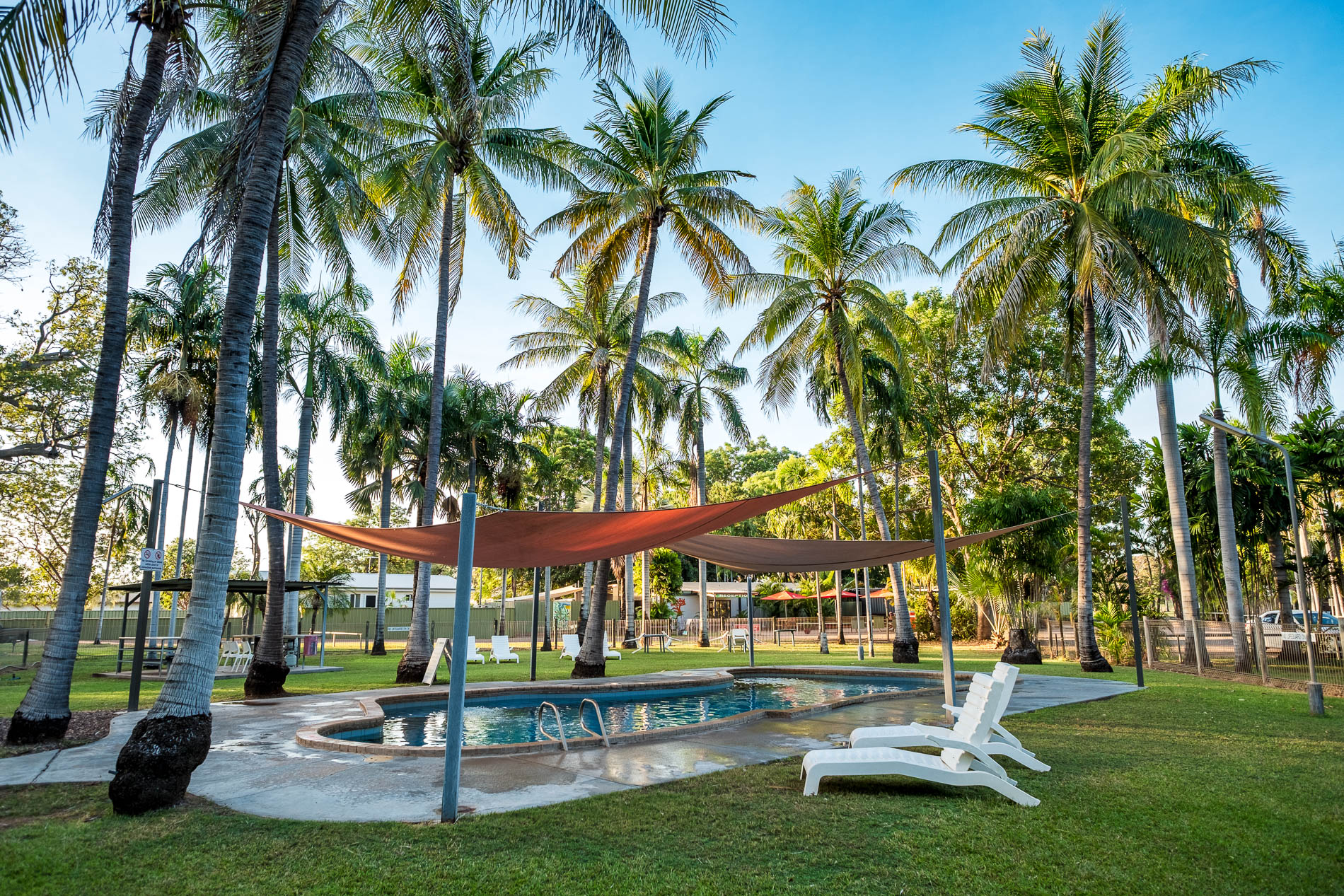 Coconut Palms Tropical Setting Pool
