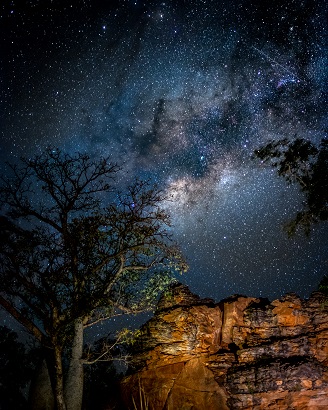 Milky Way Boab Tree