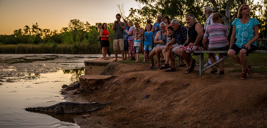 Crowd pleaser Gummy the toothless Freshwater crocodile