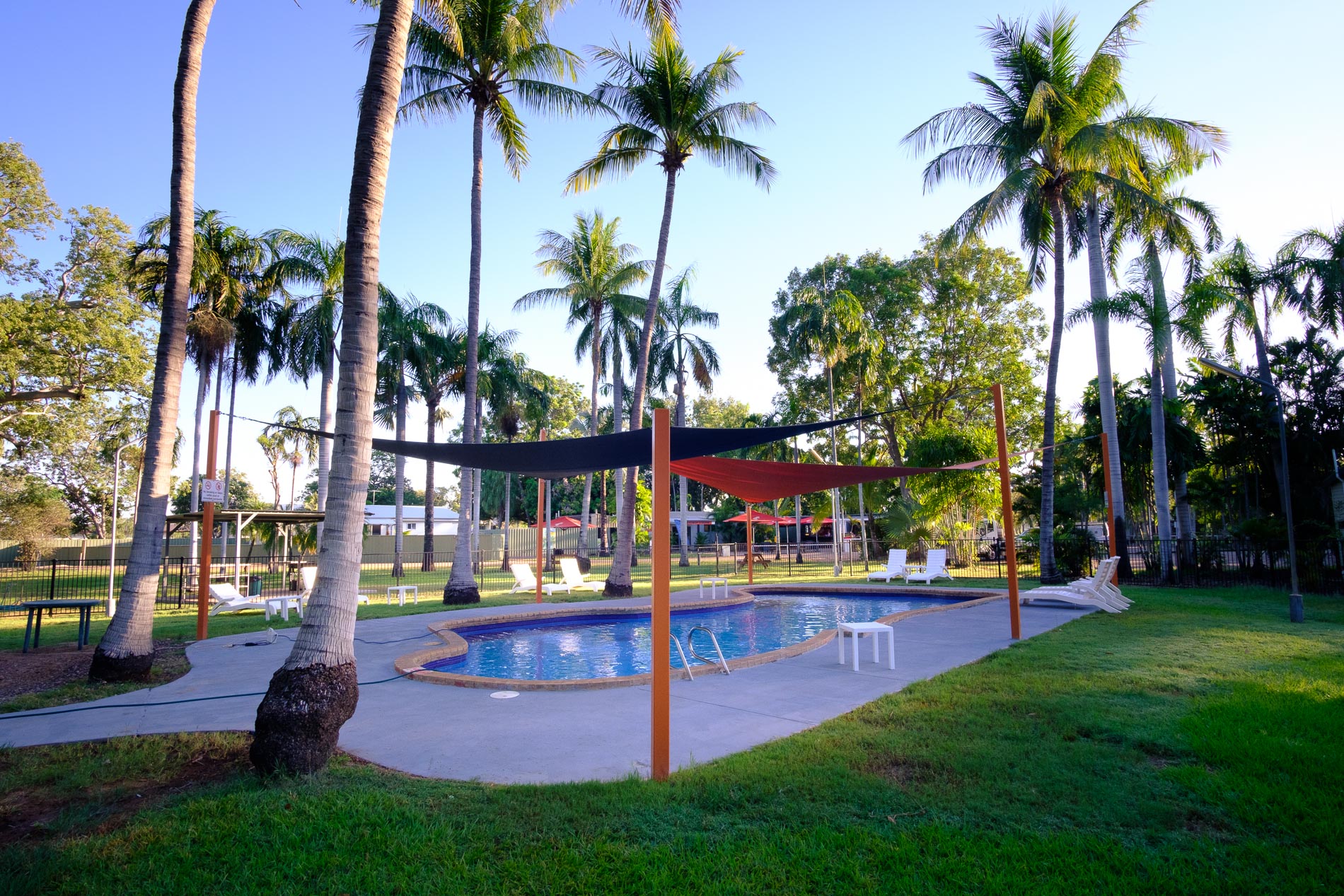 Blue Coconut Palm Pool at Kimberleyland 