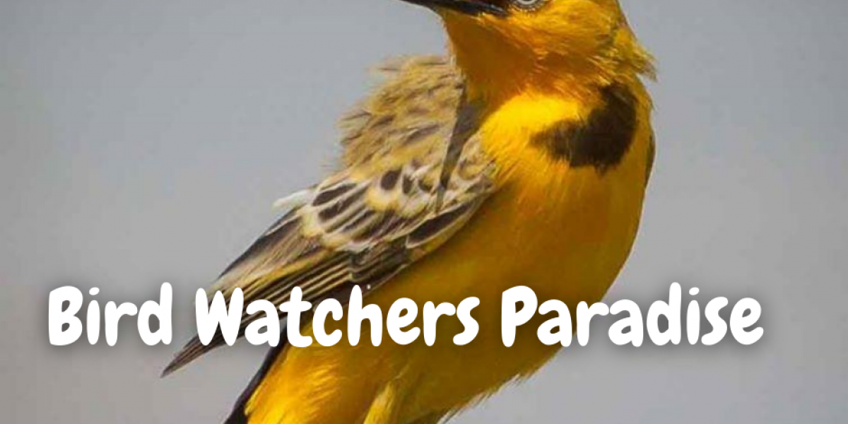 Bird Watching Tours near Kununurra