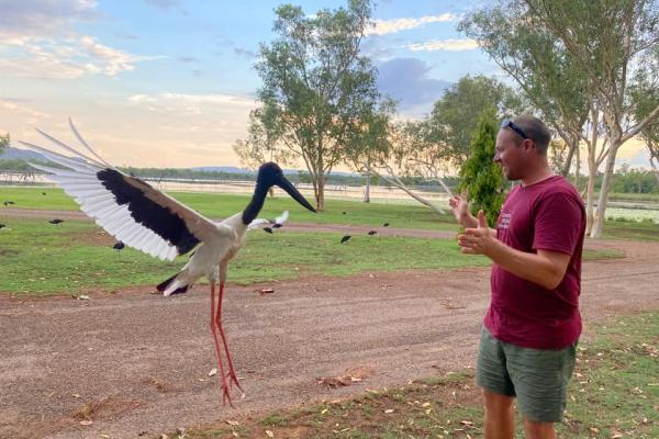 Jabby the Jabiru