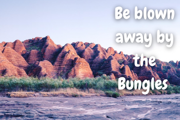 Be blown away by the Bungles