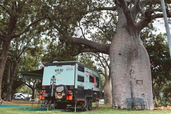 Kimberleyland Boab Tree Campsite