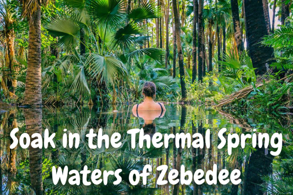 Things to do Kununurra_Zebedee Springs