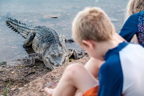 Freshwater Crocodile at Kimberleyland Kununurra