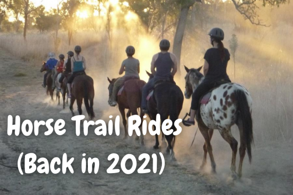Kununurra things to do Horse trail rides
