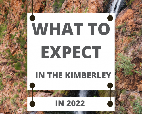 What to expect in the Kimberley in 2022