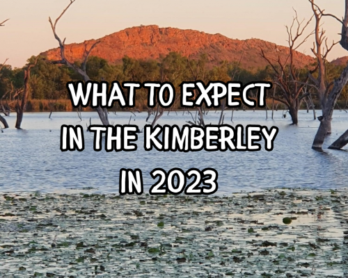 What to expect in the Kimberley in 2023