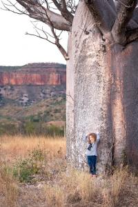 El Questro Boab Tree