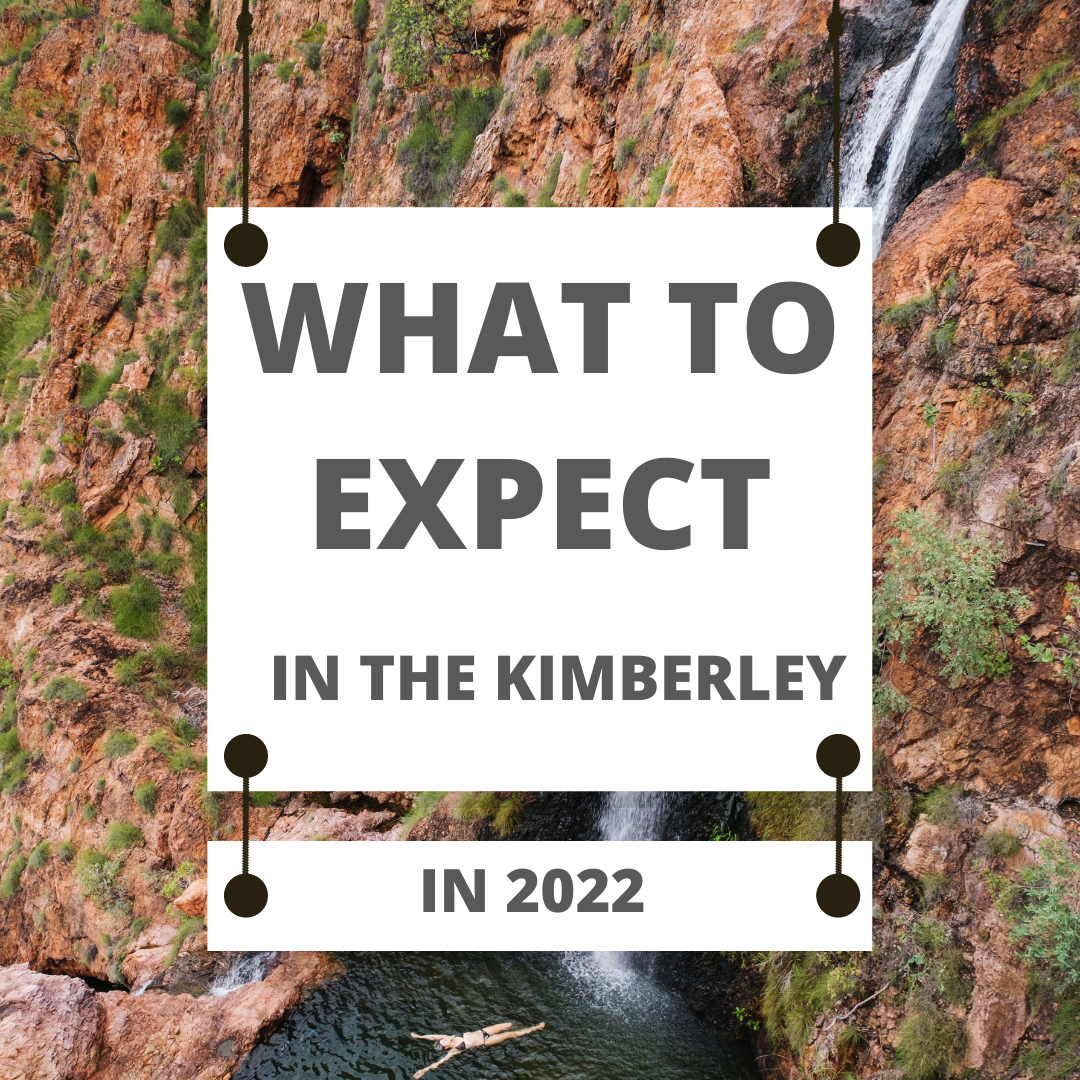What to expect in the Kimberley in 2022