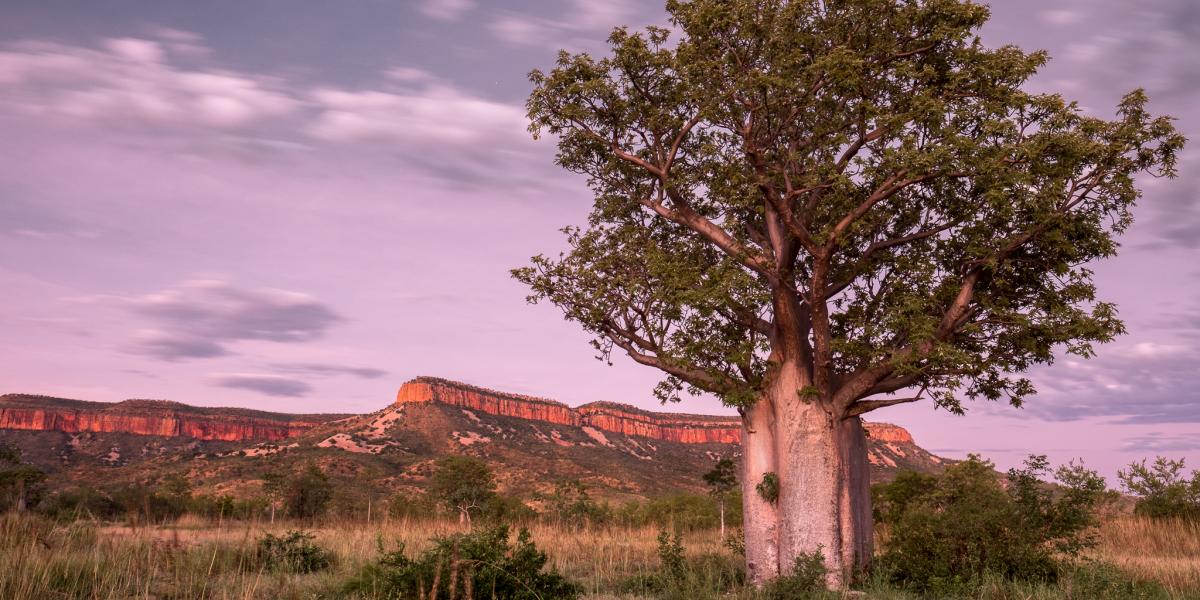 Cockburn Ranges Gibb River Road East Kimberley Kununurra