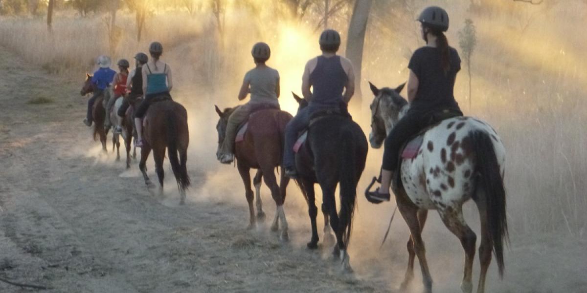 Yeehaa Horse Trail Rides