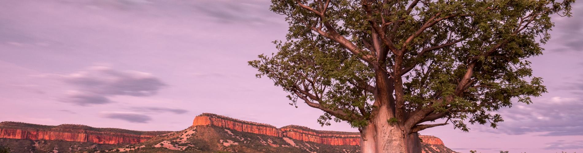 Cockburn Ranges on the Gibb River Road El Questro East Kimberley