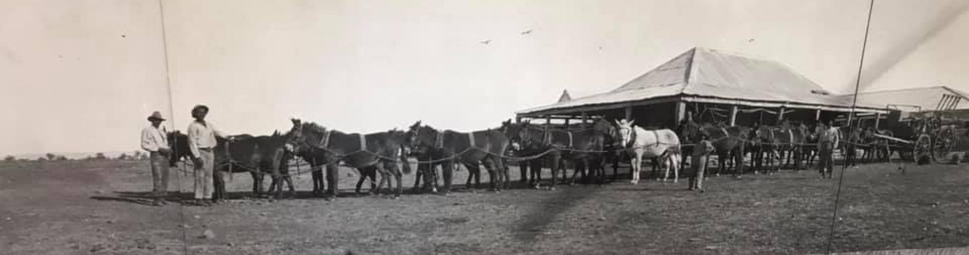 Pioneering stations